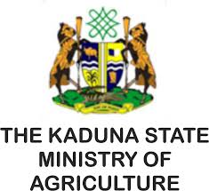 WhatsApp Image 2025-12-04 at 9.23.43 AM